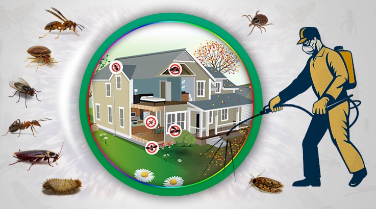 Yumurtalık Böcek İlaçlama